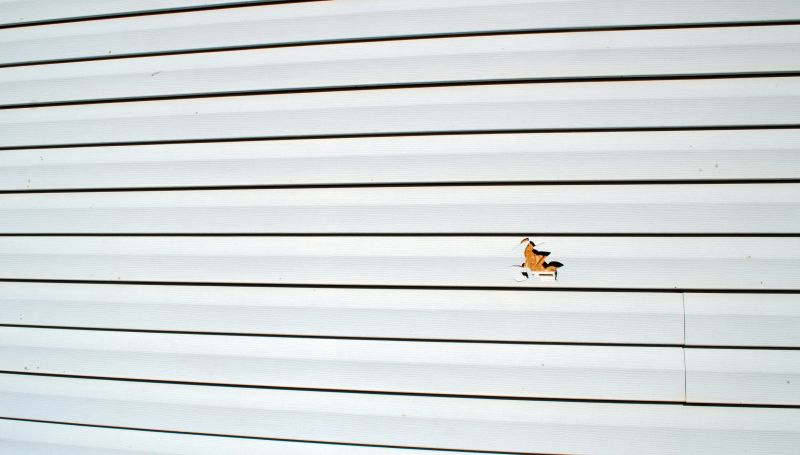 Repaired Vinyl Siding Close-Up